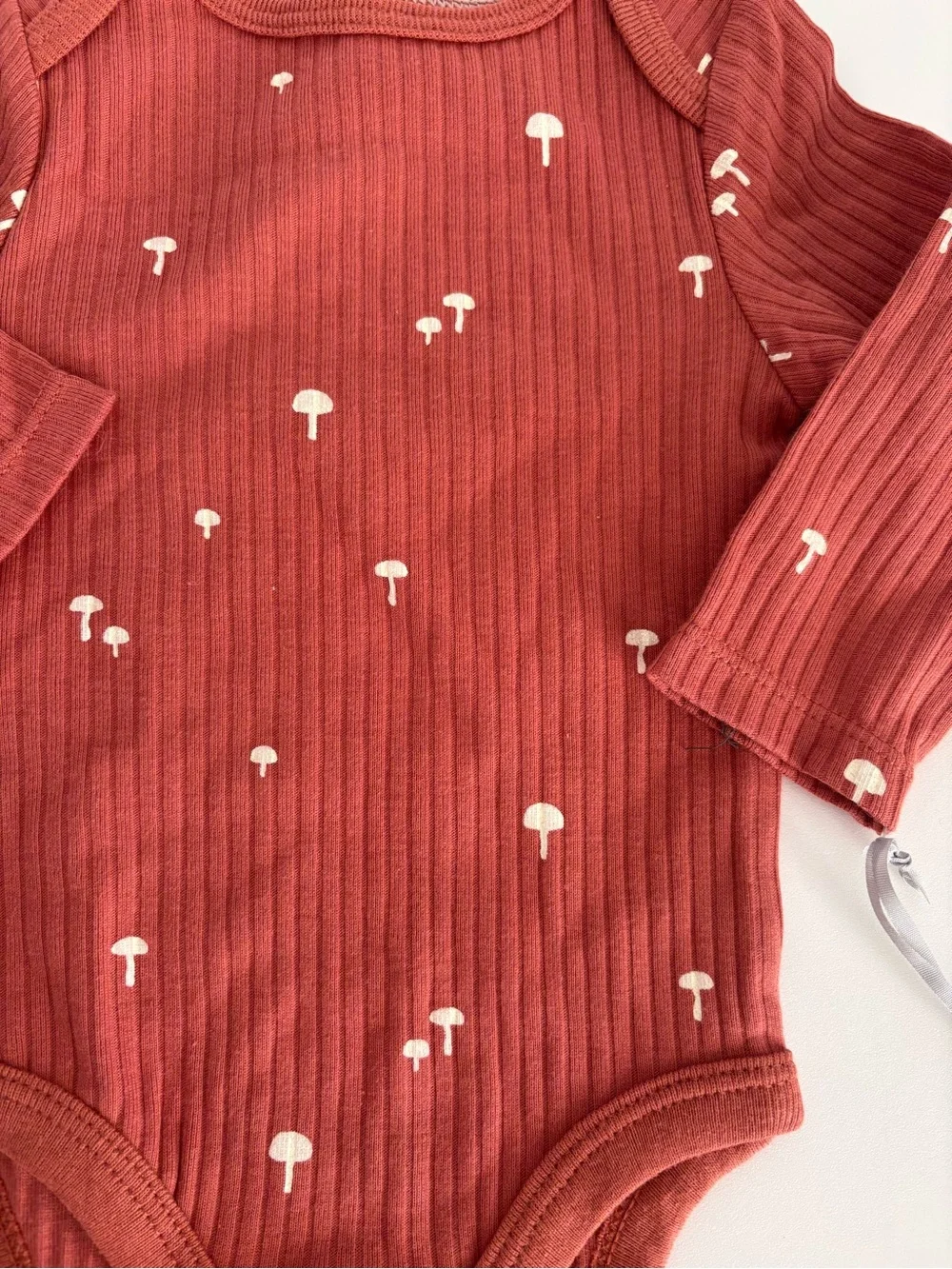 cloud island Rust Ribbed Mushroom Print Baby Bodysuit & Pants Set 0-3